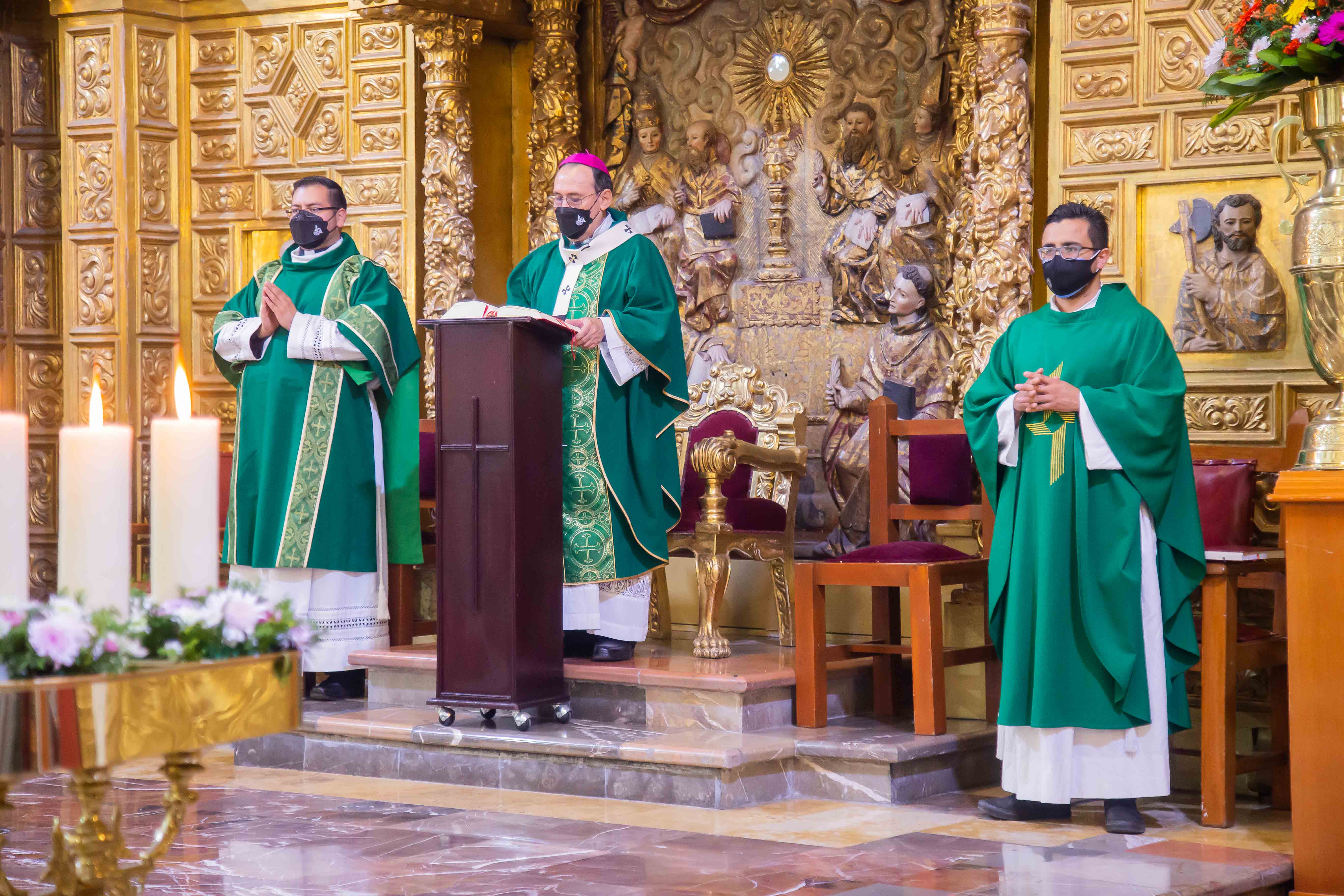 HOMILÍA EN EL V DOMINGO DEL TIEMPO ORDINARIO