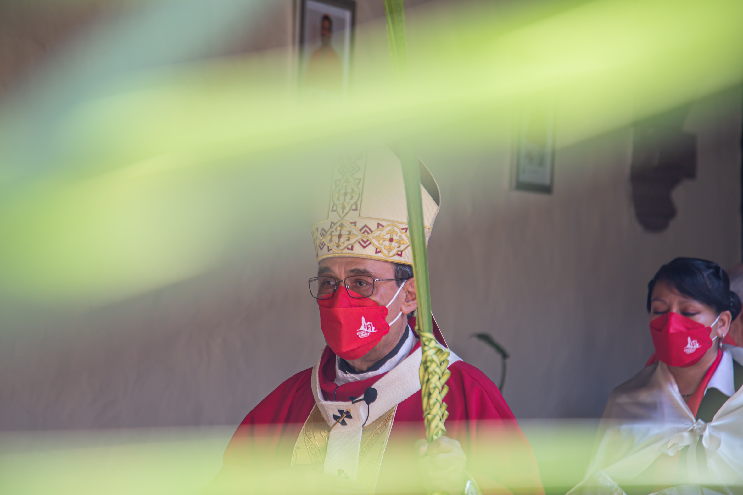 HOMILÍA EN EL DOMINGO DE RAMOS 2022